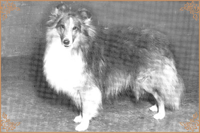 Kendoral Ulysses, Crufts Winners