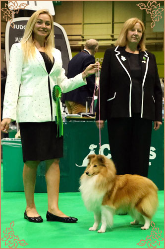 Lavika Lateca, Crufts Winners