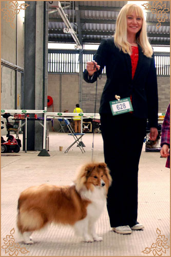 Lavika Summer Time, Crufts Winners