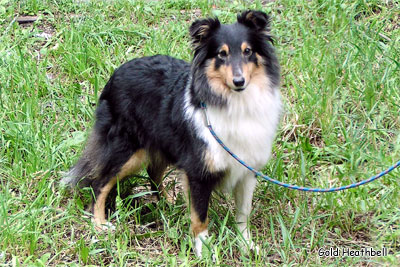 Лили, Lily (b.2002)