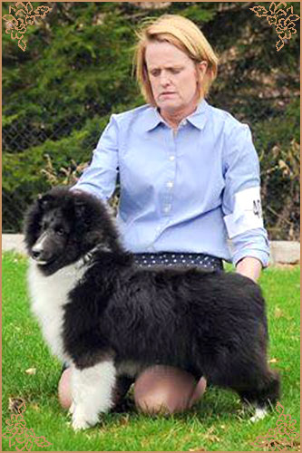 Macdega Rosmoor Unbridled