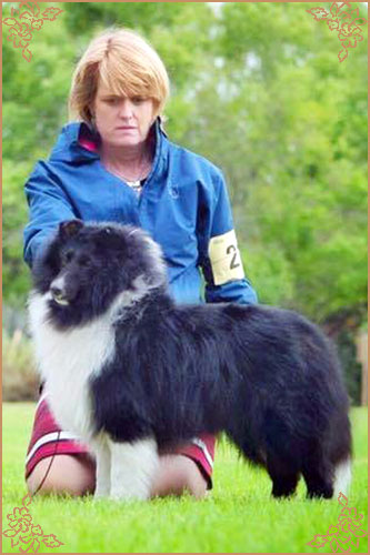 Macdega Rosmoor Unbridled