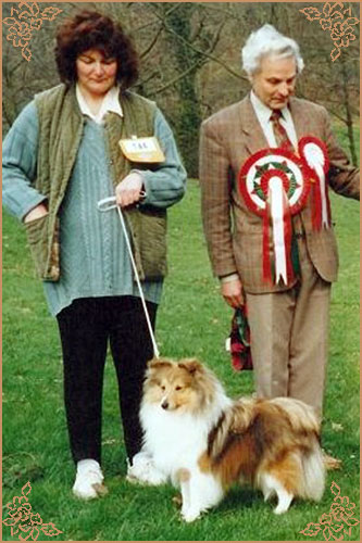 Milesend Stormwarden, Crufts Winners