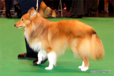 Milesend Time To Rock