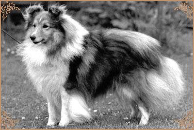 Myriehewe Magic Moments of Milesend