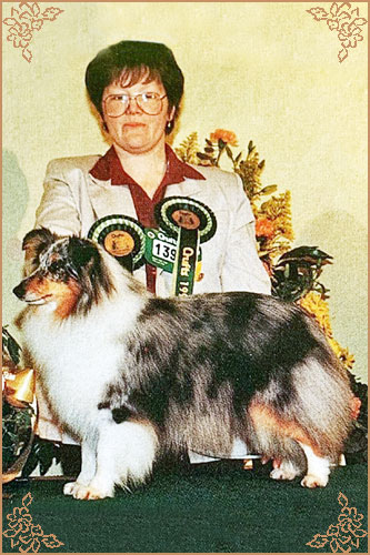 Myriehewe Rosa Bleu, Crufts Winners