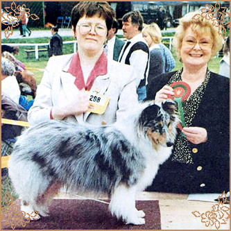 Myriehewe Rosa Bleu, Crufts Winners