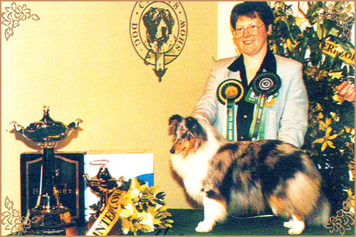 Myriehewe Rosa Bleu, Crufts Winners