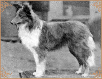 Playwright of Exford