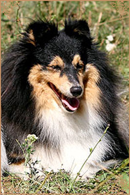 Куин Ин Блек Антония, Queen In Black Antonia