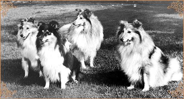 Riverhill Richman, Crufts Winners