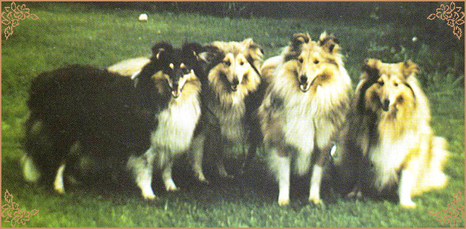 Riverhill Richman, Crufts Winners