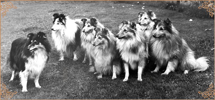 Riverhill Richman, Crufts Winners