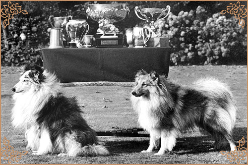 Riverhill Richman, Crufts Winners