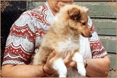 Riverhill Richman, Crufts Winners