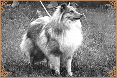 Riverhill Richman, Crufts Winners