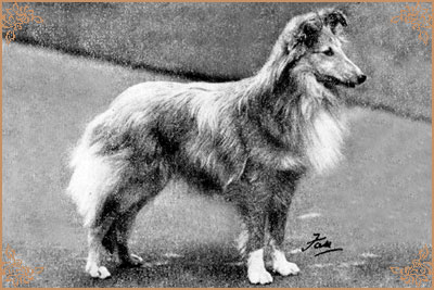 Riverhill Rikki, Crufts Winners