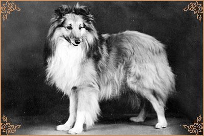 Russetcoat of Callart