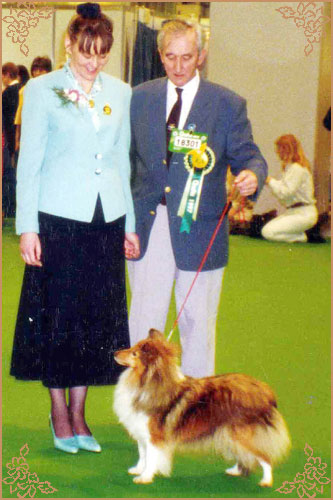 Snabswood Shiny Penny, Crufts Winners