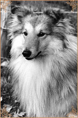 Stormane Sir Stanley