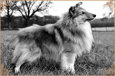 Stormane Sir Stanley