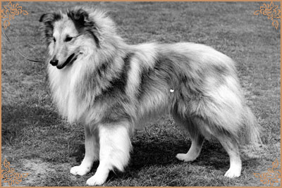 Stormane Sir Stanley