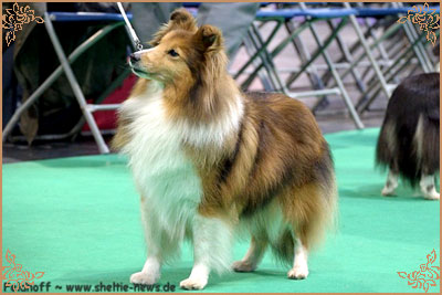 Tachnamadra Evisu, Crufts Winners