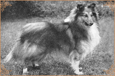 Trumpeter of Tooneytown, Crufts Winners