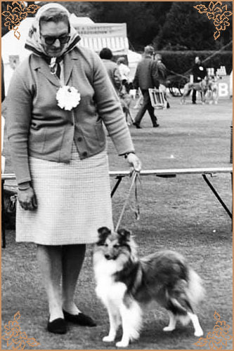 Tumblebays Topaz of Monkswood, Crufts Winners