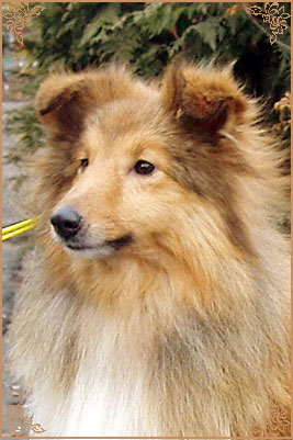 Юсфул Гел оф Голден Кий, Useful Girl of Golden Key