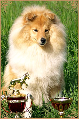 White Coastal Little Red Star