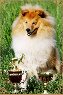 White Coastal Little Red Star